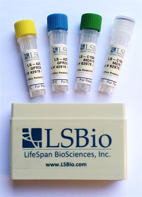 il 1 beta elisa kit